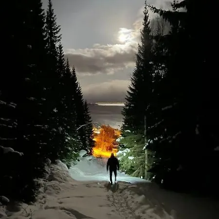 Notvollen Lyngen, Kjosveien 383, *