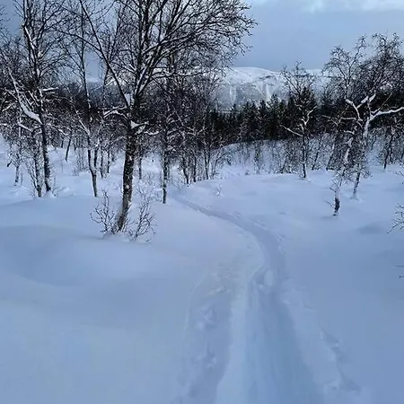 Notvollen Lyngen, Kjosveien 383, * Lyngseidet